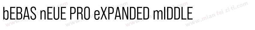 bEBAS nEUE PRO eXPANDED mIDDLE字体转换